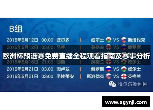 欧洲杯预选赛免费直播全程观看指南及赛事分析