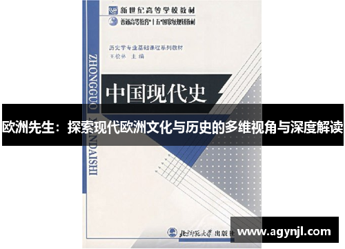 欧洲先生：探索现代欧洲文化与历史的多维视角与深度解读