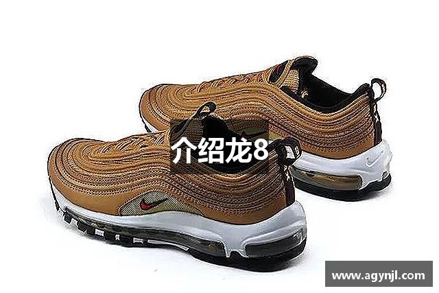 介绍龙8